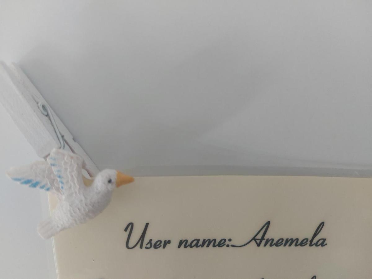 Anemela studio lux Naxos City Esterno foto